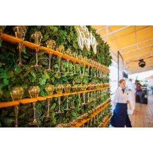 Стена под шампанское "Нинурт" - Фото 2