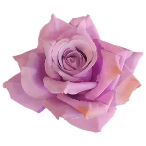 Роза сиреневая - Фото 1