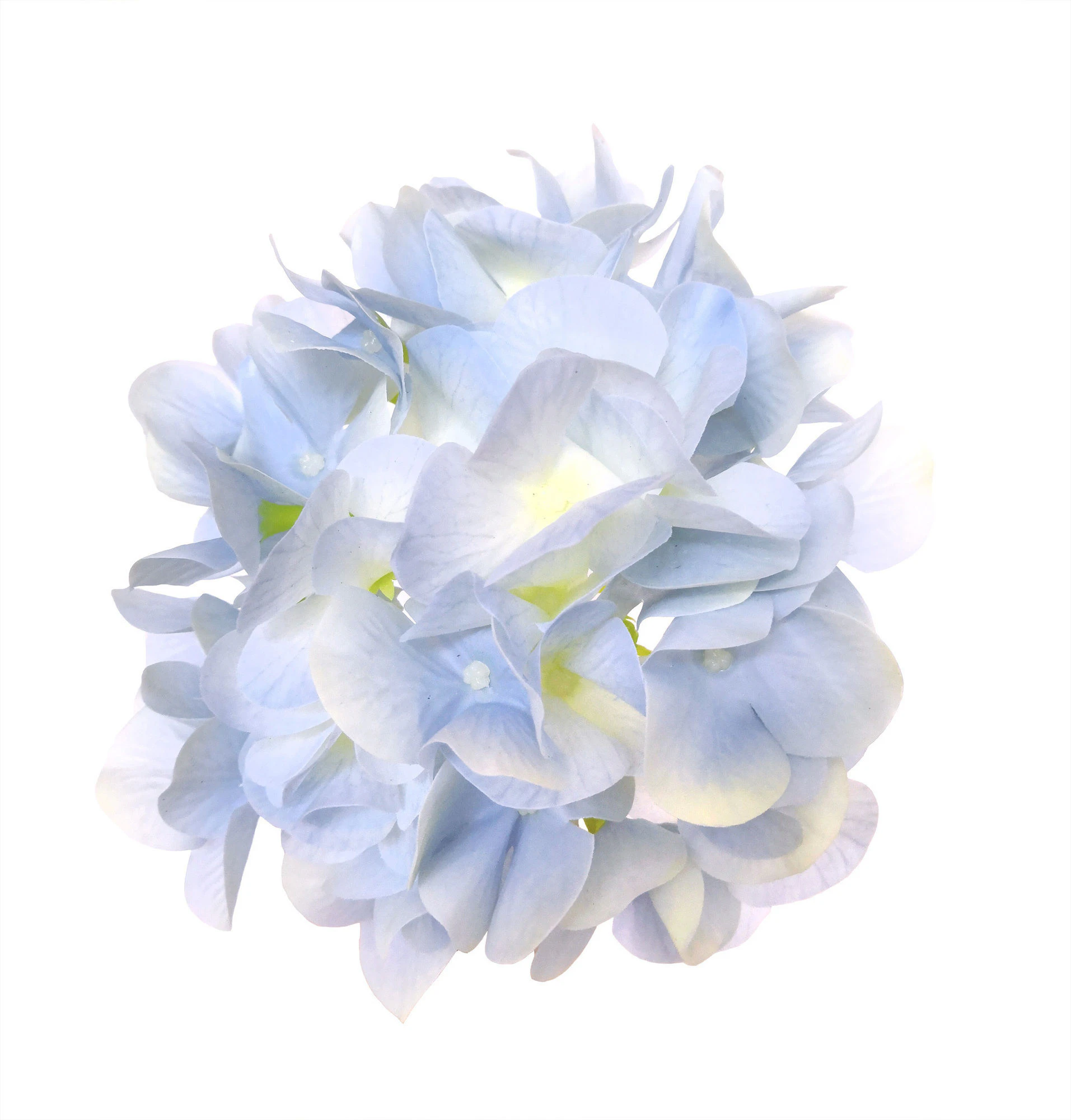Гортензия силиконовая голубая