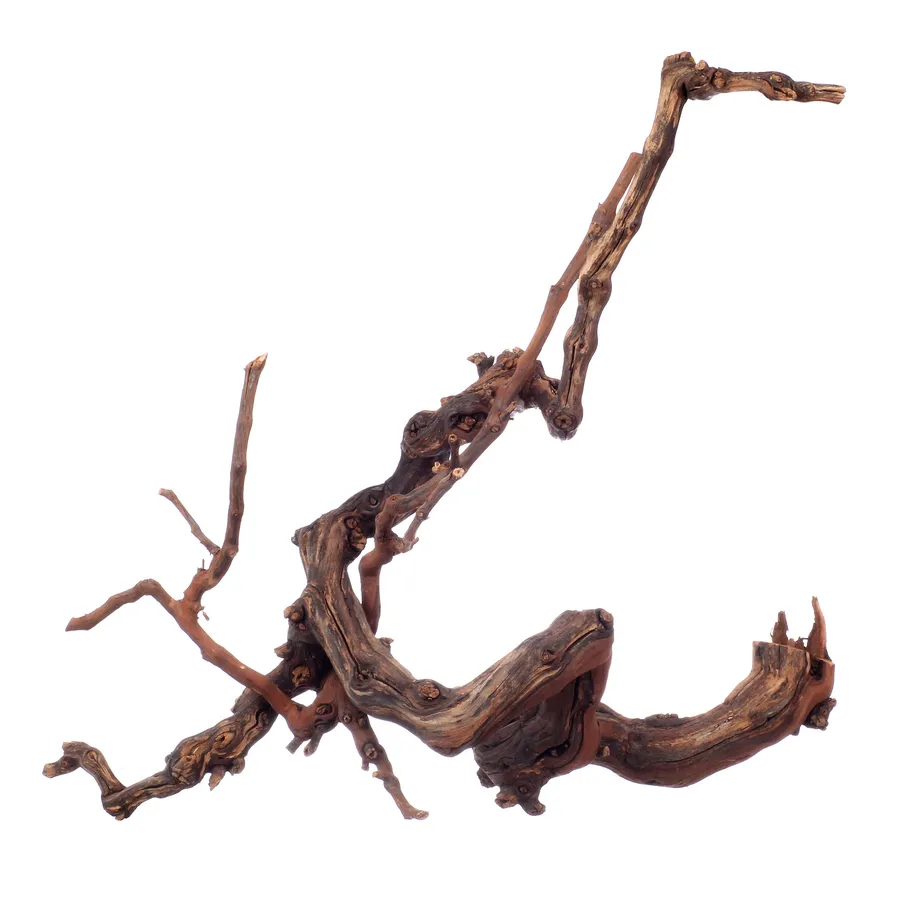 Коряга «Вильфор» - Фото миниатюра 1