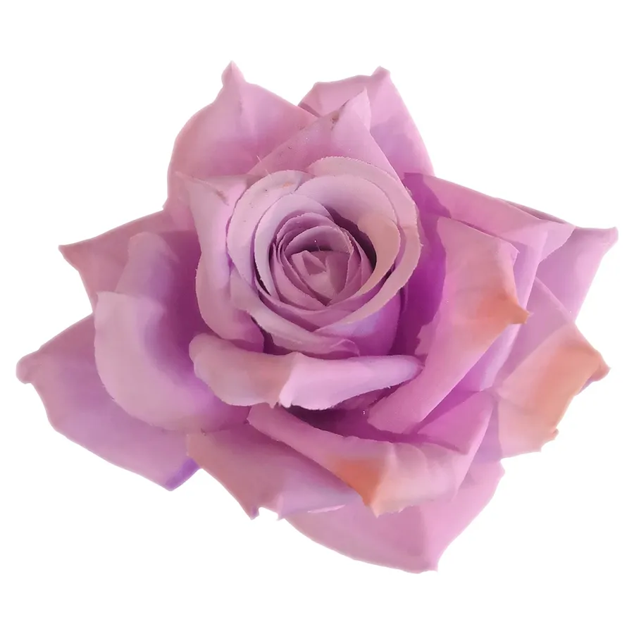 Роза сиреневая - Фото миниатюра 6