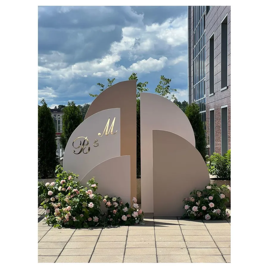 Задник "Гула 160" - Фото миниатюра 5