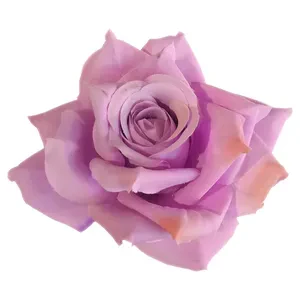 Роза сиреневая - Фото 6