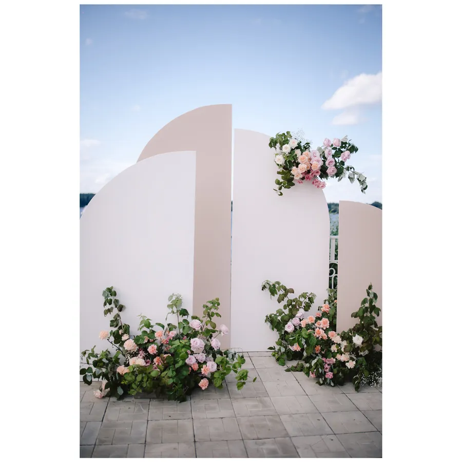 Задник "Гула 250" - Фото миниатюра 4