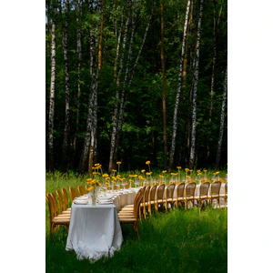 Стул «Мави»