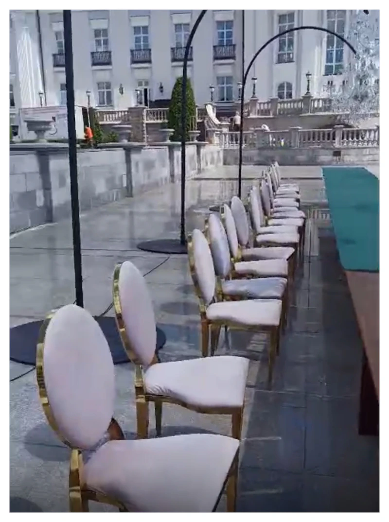 Стул Вашингтон Золото, велюр светло-розовый