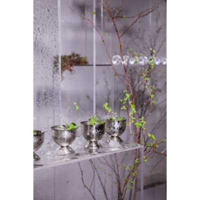 Емкость для подачи закусок №3 Не Все Золото - изображение 2