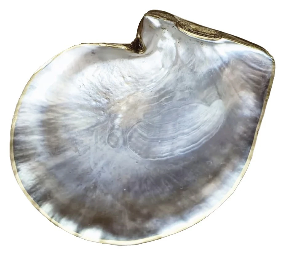 Блюдо сервировочное Шелл Не Все Золото