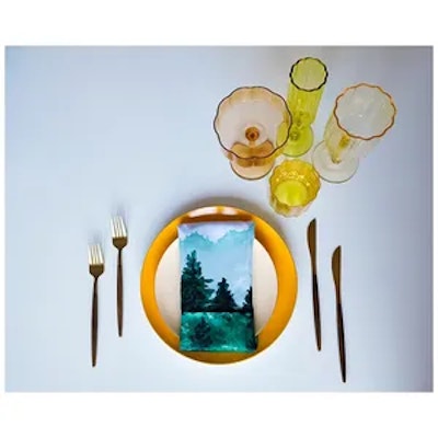 Тарелка ПИНТОН Брем-Крюле С - изображение 3