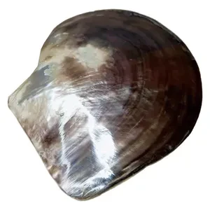 Блюдо сервировочное Шелл Не Все Золото - Фото 2