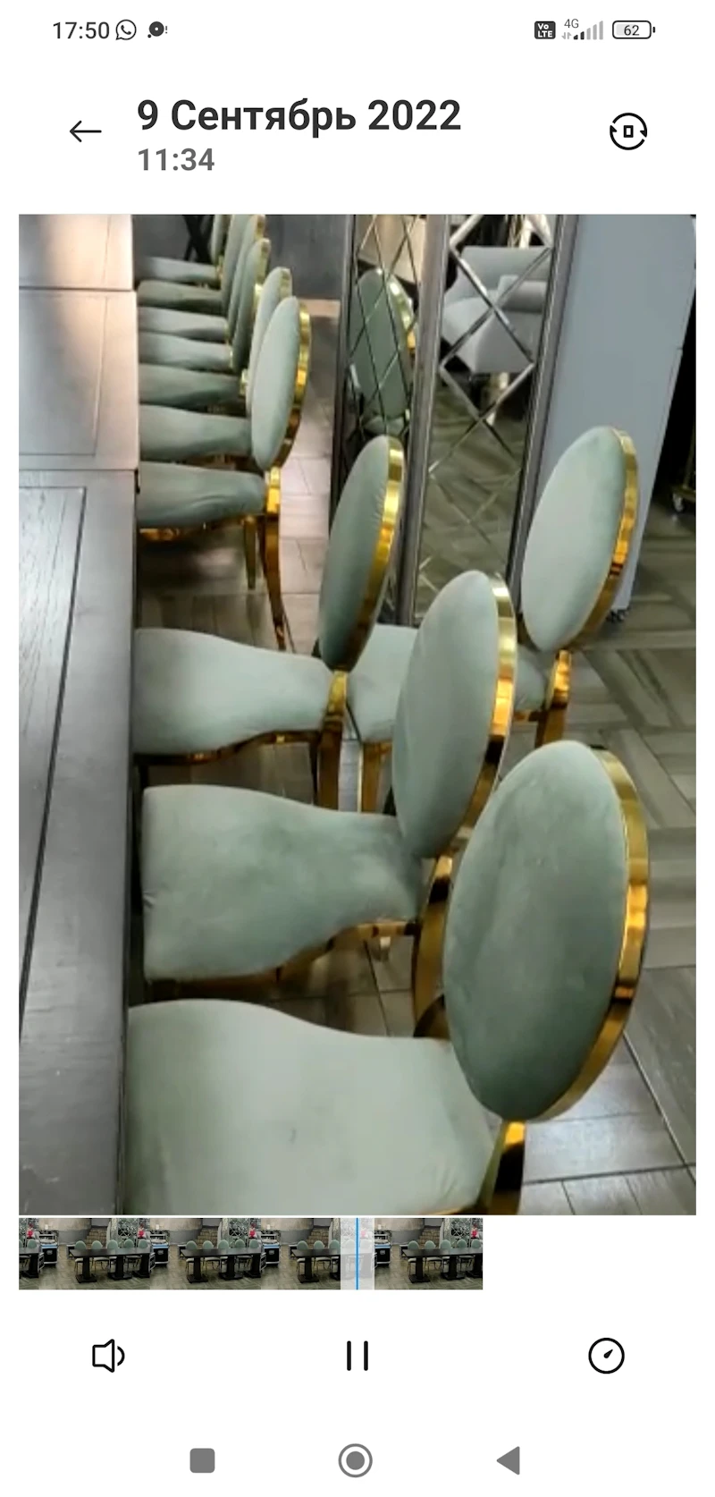 Стул Вашингтон Золото, велюр эвкалипт