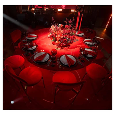 Стул Модерн Золото, Малиново-красный - изображение 4