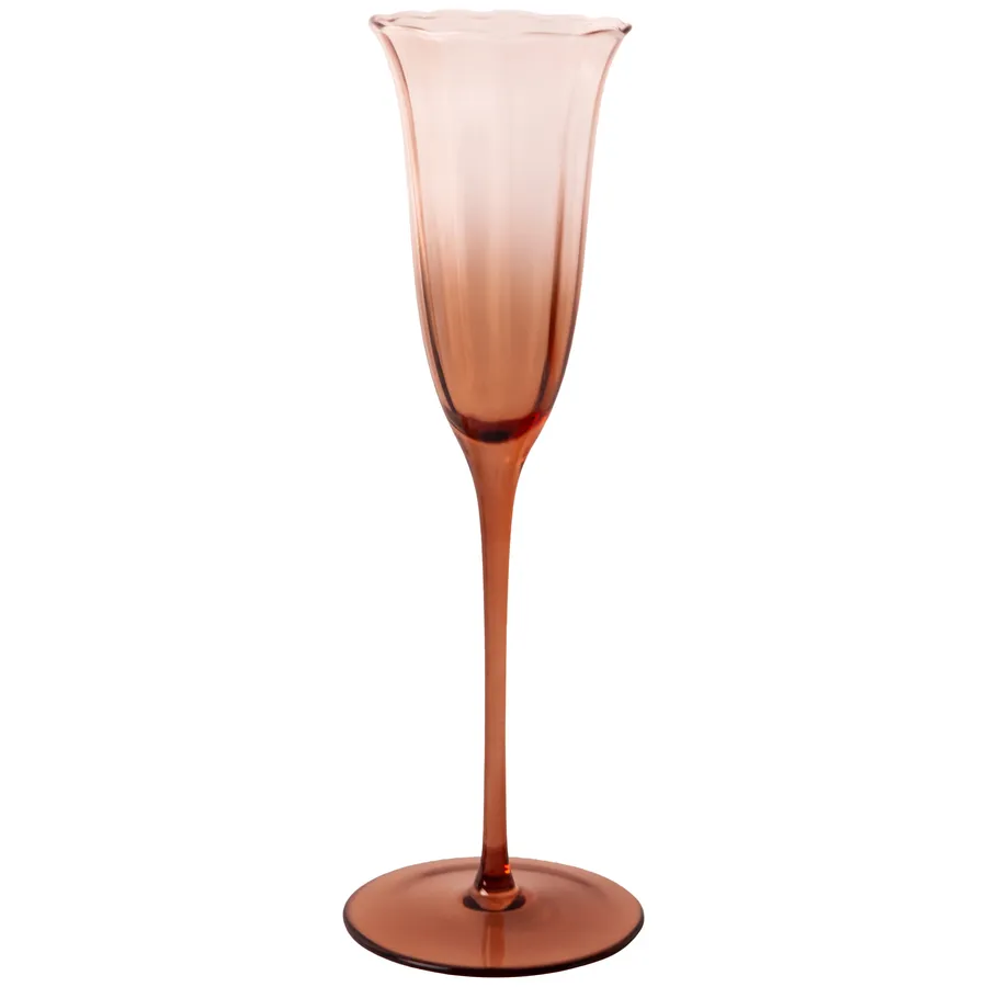 Шампанка Блуми Остеоспермум - Фото миниатюра 1