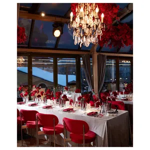 Стул Модерн Серебро, Малиново-красный - изображение 3