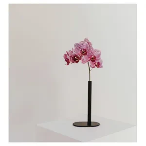 Флористическая стойка Стикс С - Фото 5