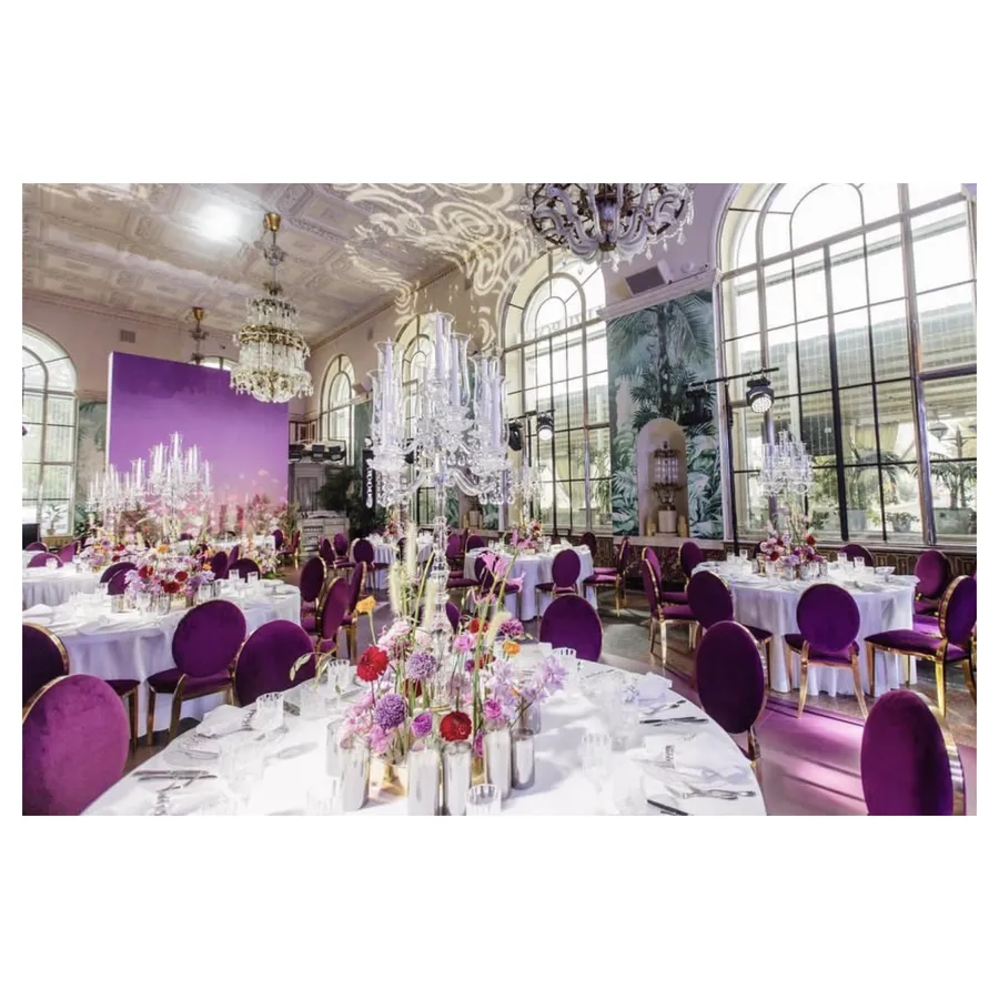 Подушки на стул Вашингтон (велюр), сливовые - Фото миниатюра 5