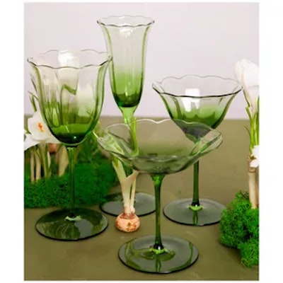 Креманка Блуми Молюцелла - изображение 2