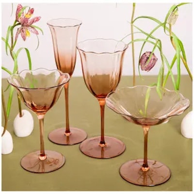 Шампанка Блуми Остеоспермум - изображение 2