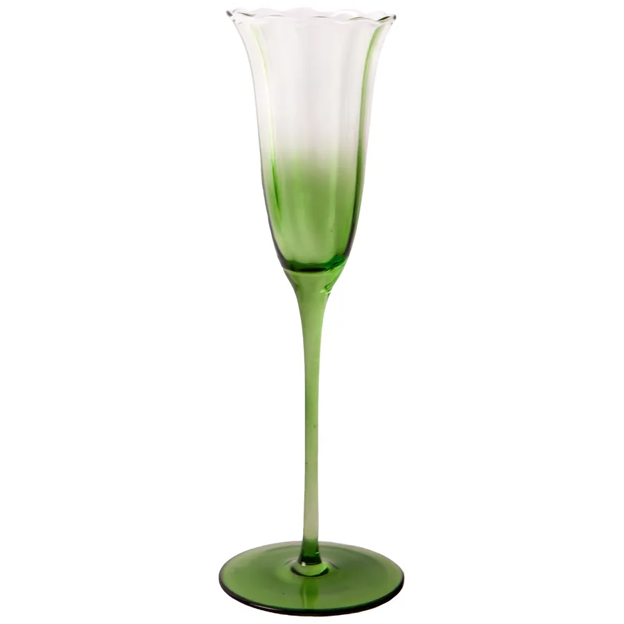 Шампанка Блуми Молюцелла - Фото миниатюра 1