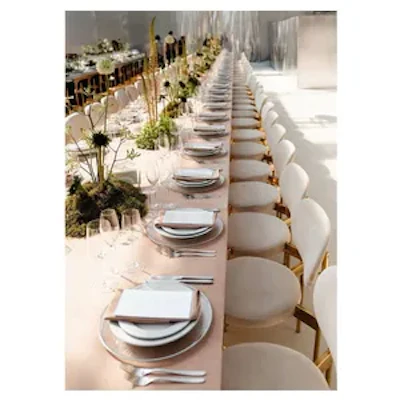 Стул Модерн Золото, Кремовый бисквит - изображение 3