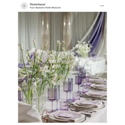 Шампанка Сквош Море волнуется три - изображение 4