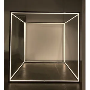 Световая инсталляция Световой Куб - Фото 3