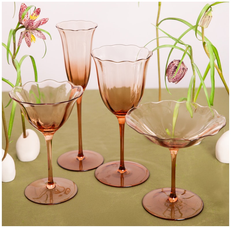 Шампанка Блуми Остеоспермум