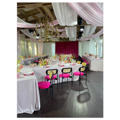 Стул Модерн Черный, Манящая фуксия - изображение 2