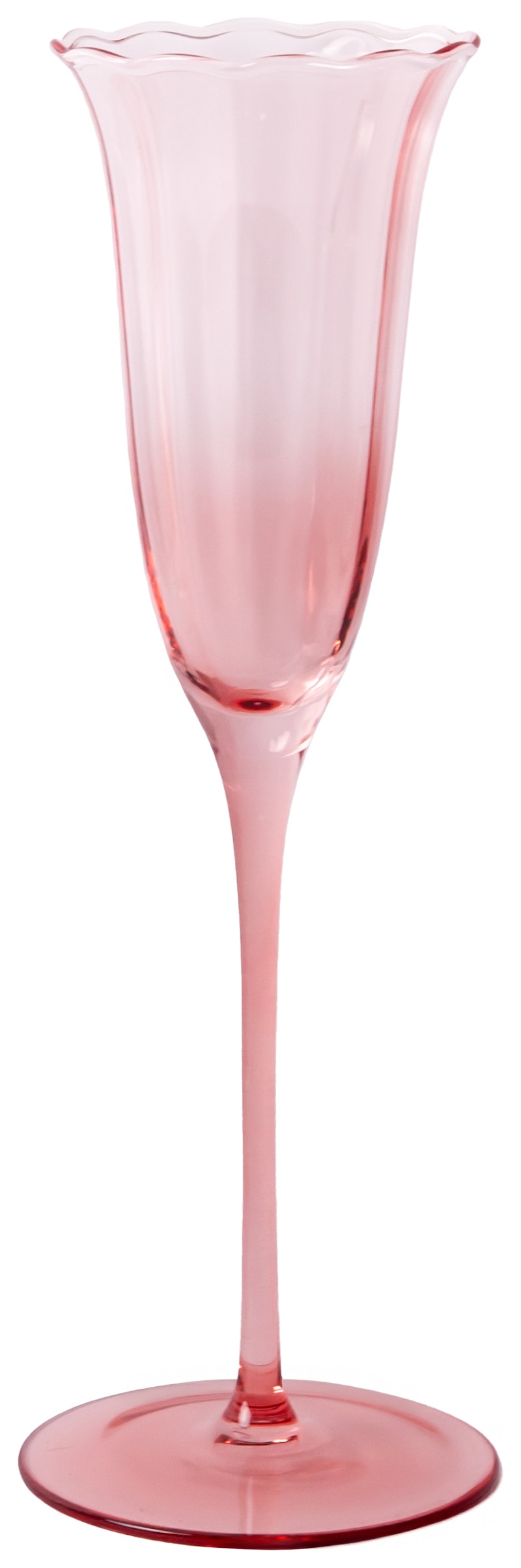 Шампанка Блуми Космея