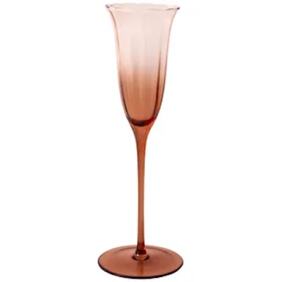 Шампанка Блуми Остеоспермум