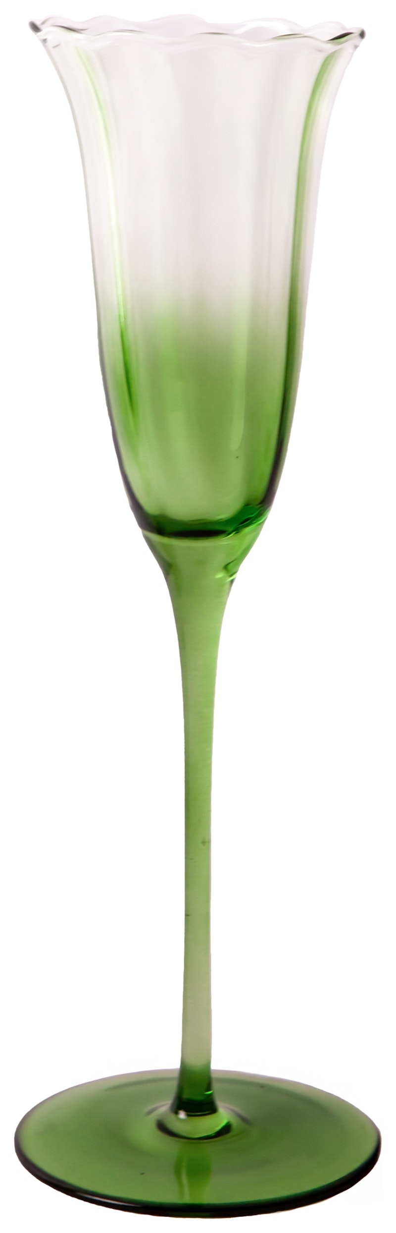 Шампанка Блуми Молюцелла