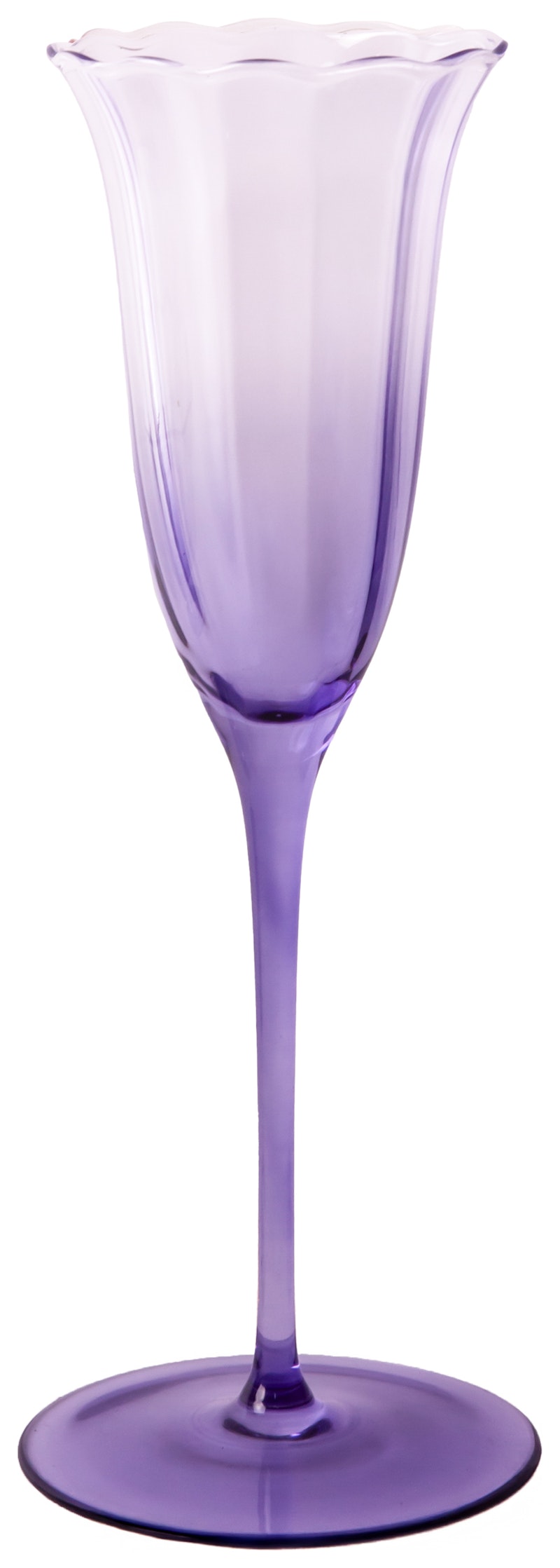 Шампанка Блуми Мышиный Горошек