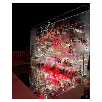 Неоновая вывеска "Вечеринка на день рождения" - изображение 2