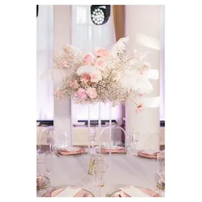 Стойка прозрачная Флайт - изображение 2