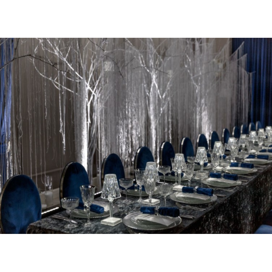 Стул «Вашингтон» серебро, чернильный бархат - Фото миниатюра 4