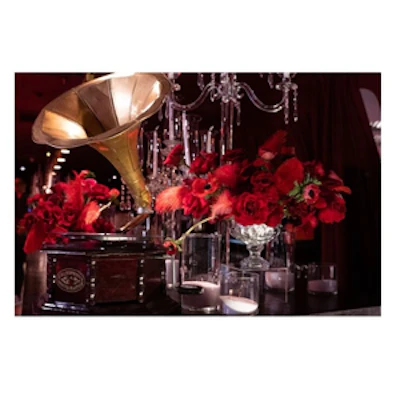 Граммофон - изображение 2