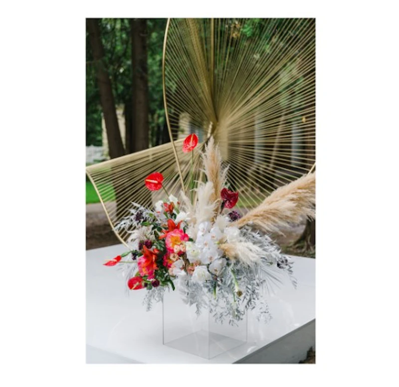 Прозрачный куб "Немо"