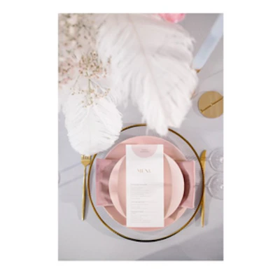 Подстановочная тарелка "Техно" c золотым кантом - изображение 2