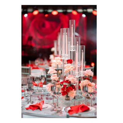 Салфетка атласная алая - изображение 4