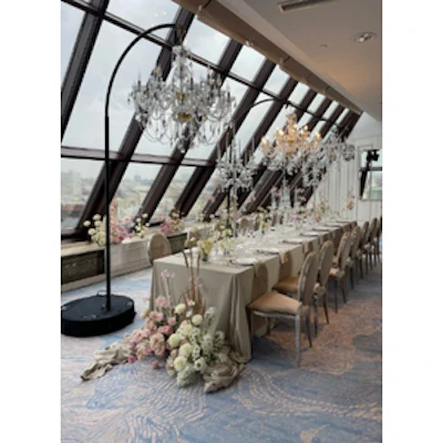 Стул «Вашингтон» серебро, бежевый бархат - изображение 3