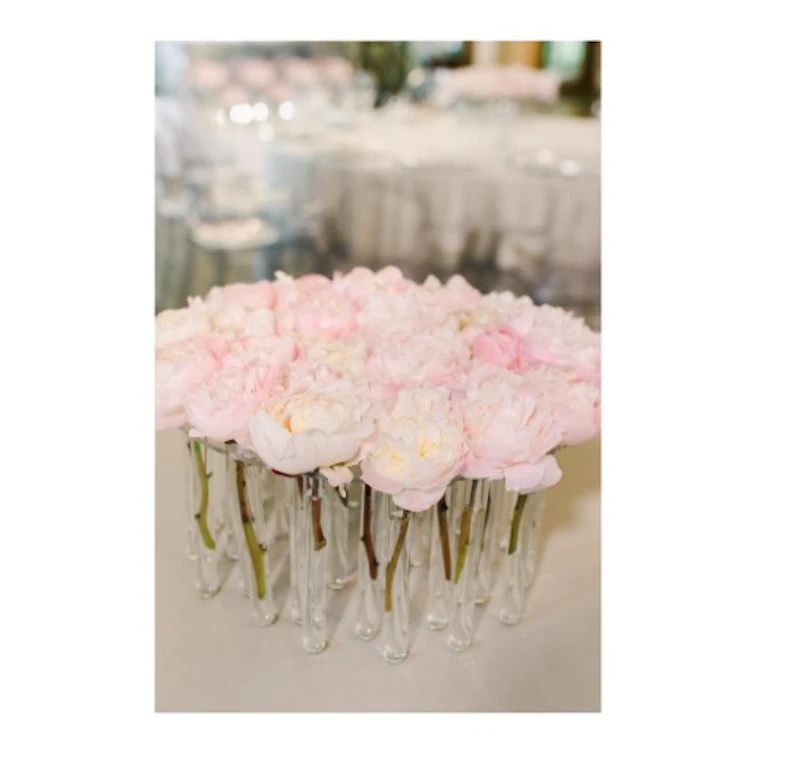 Подставка прозрачная с пробирками "Флориум"