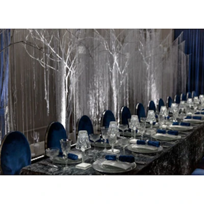 Стул «Вашингтон» серебро, чернильный бархат - изображение 4