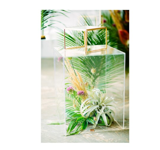 Прозрачный куб "Немо"