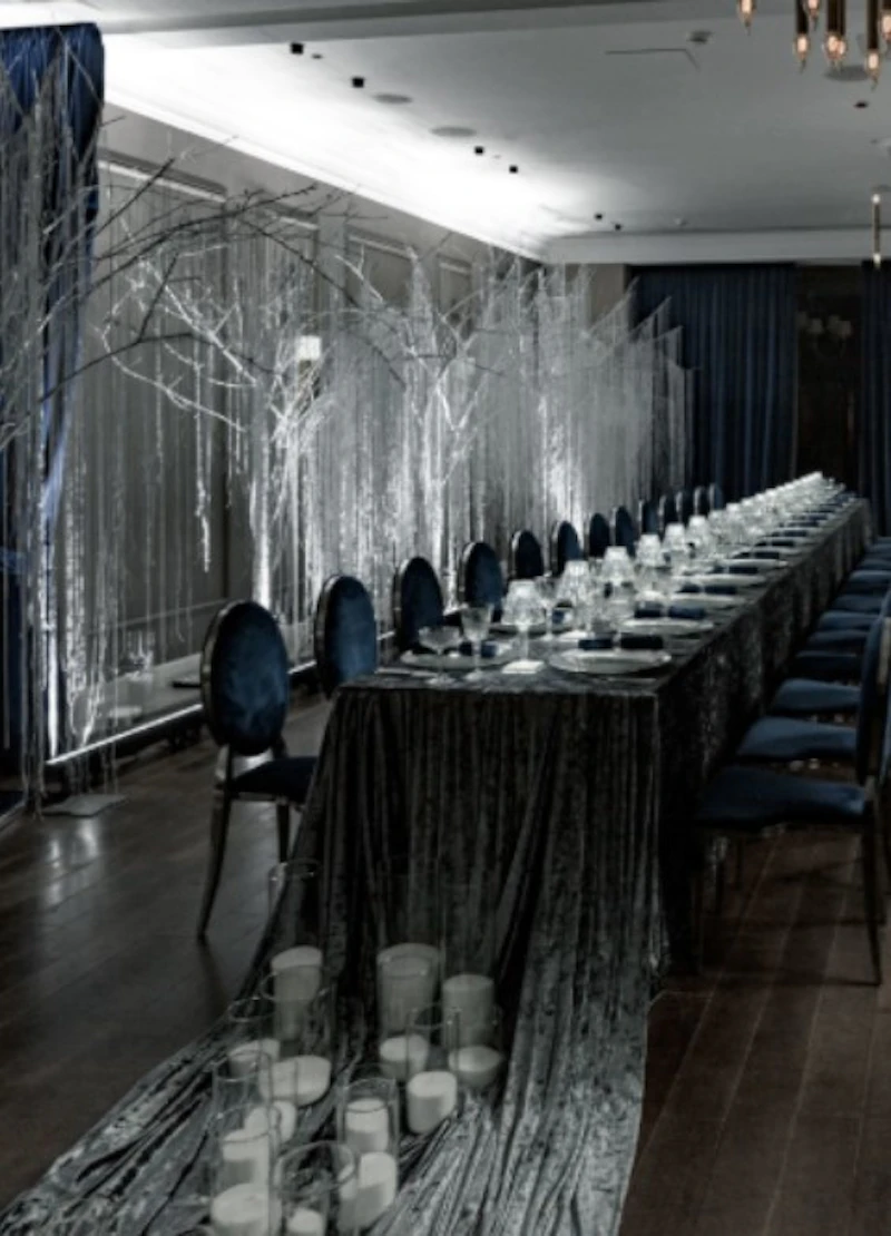 Стул «Вашингтон» серебро, чернильный бархат