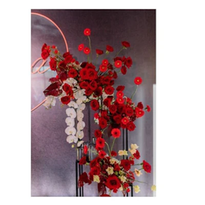 Стойка Райз - изображение 3