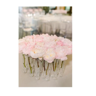 Подставка прозрачная с пробирками "Флориум" - изображение 2