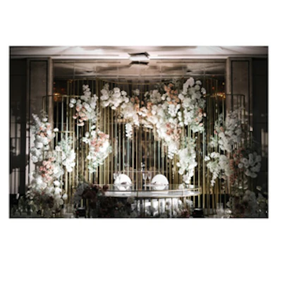 Конструкция "Изабель" 1 - изображение 2