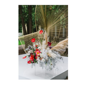 Прозрачный куб "Немо" - изображение 6